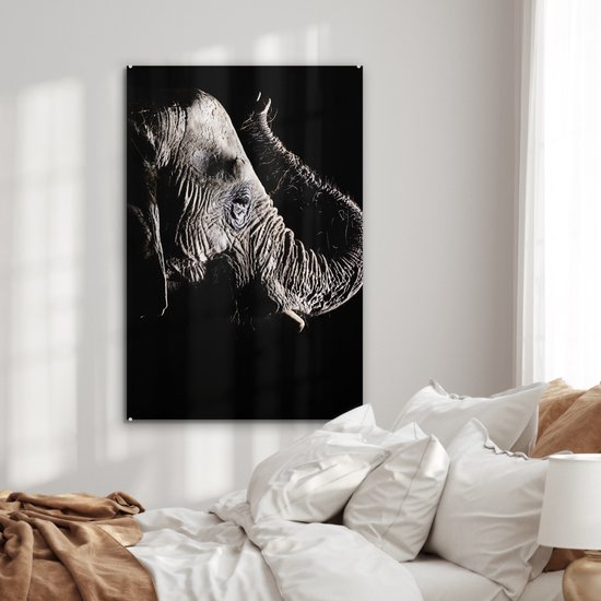 MuchoWow® Peinture sur verre 60x90 cm - Peinture sur verre acrylique - Éléphant - Zwart - Animaux - Nature - Photo sur verre - Peintures