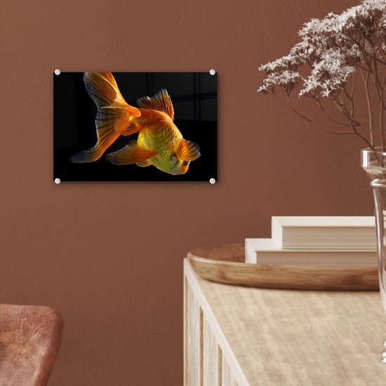MuchoWow® Peinture sur verre - Poisson rouge - Animaux - Zwart - 30x20 cm - Peintures sur verre acrylique - Photo sur Glas