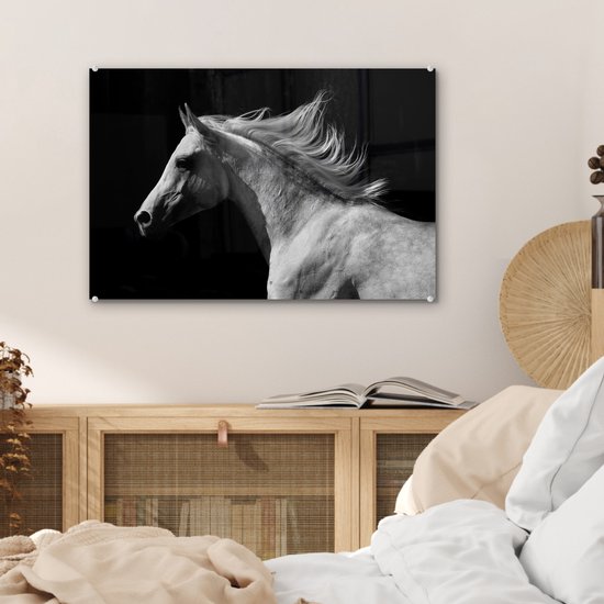 MuchoWow® Peinture sur verre 60x40 cm - Peinture acrylique sur verre - Paarden - Animaux - Portrait - Photo sur verre - Peintures