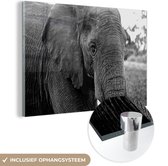MuchoWow® Peinture sur verre 120x80 cm - Peinture sur verre acrylique - Éléphant - Animaux - Zwart - Wit - Nature - Photo sur verre - Peintures