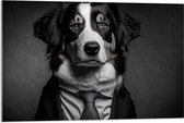 Acrylglas - Berner Sennen Hond in Zakelijk Pak met Stropdas (Zwart- wit) - 90x60 cm Foto op Acrylglas (Wanddecoratie op Acrylaat)