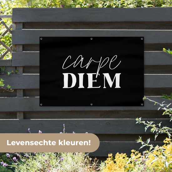 Affiche de jardin - Toile de jardin - Posters de jardin extérieures - Saisir le jour - Citations - Carpe diem - Dictons - 120x80 cm - Jardin