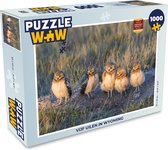 Puzzel Vijf uilen in Wyoming - Legpuzzel - Puzzel 1000 stukjes volwassenen