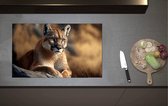 Inductieplaat Beschermer - Cartoon van Puma Liggend op Grijze Rots in Natuurgebied - 80x52 cm - 2 mm Dik - Inductie Beschermer van Vinyl