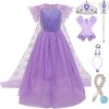 Robe Elsa violette - couronne - baguette magique - gants - galon - parure bijoux