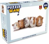 Puzzel Vijf cavia's op een rij - Legpuzzel - Puzzel 500 stukjes