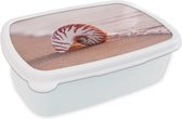 Broodtrommel Wit - Lunchbox - Brooddoos - Schelp - Strand - Zee - Zand - 18x12x6 cm - Volwassenen