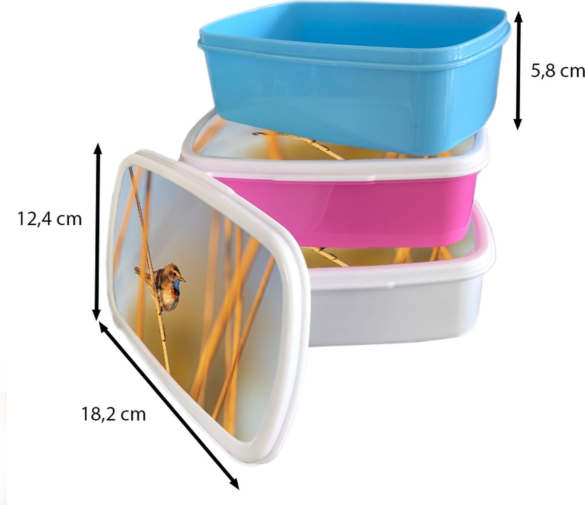 Broodtrommel Wit - Lunchbox - Brooddoos - Vogels - Blauwborst - Riet - 18x12x6 cm - Volwassenen