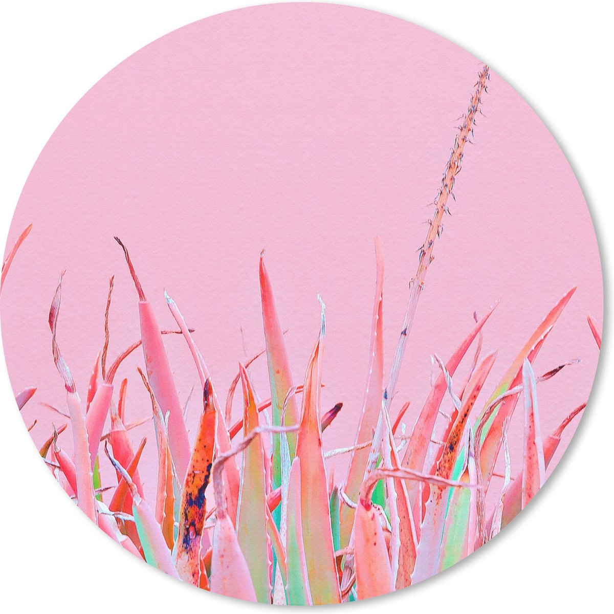 Muismat rond 20x20 cm - Mousepad Zomer - Planten - Pastel - Ronde muismatten