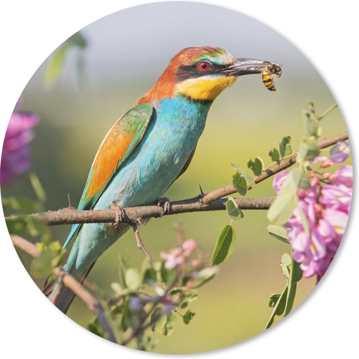 Muismat rond 30x30 cm - Mousepad Vogel - Bijeneter - Bloemen - Ronde muismatten