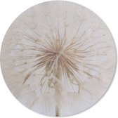 Muismat - Mousepad - Rond - Bloemen - Paardenbloem - Design - 50x50 cm - Ronde muismat