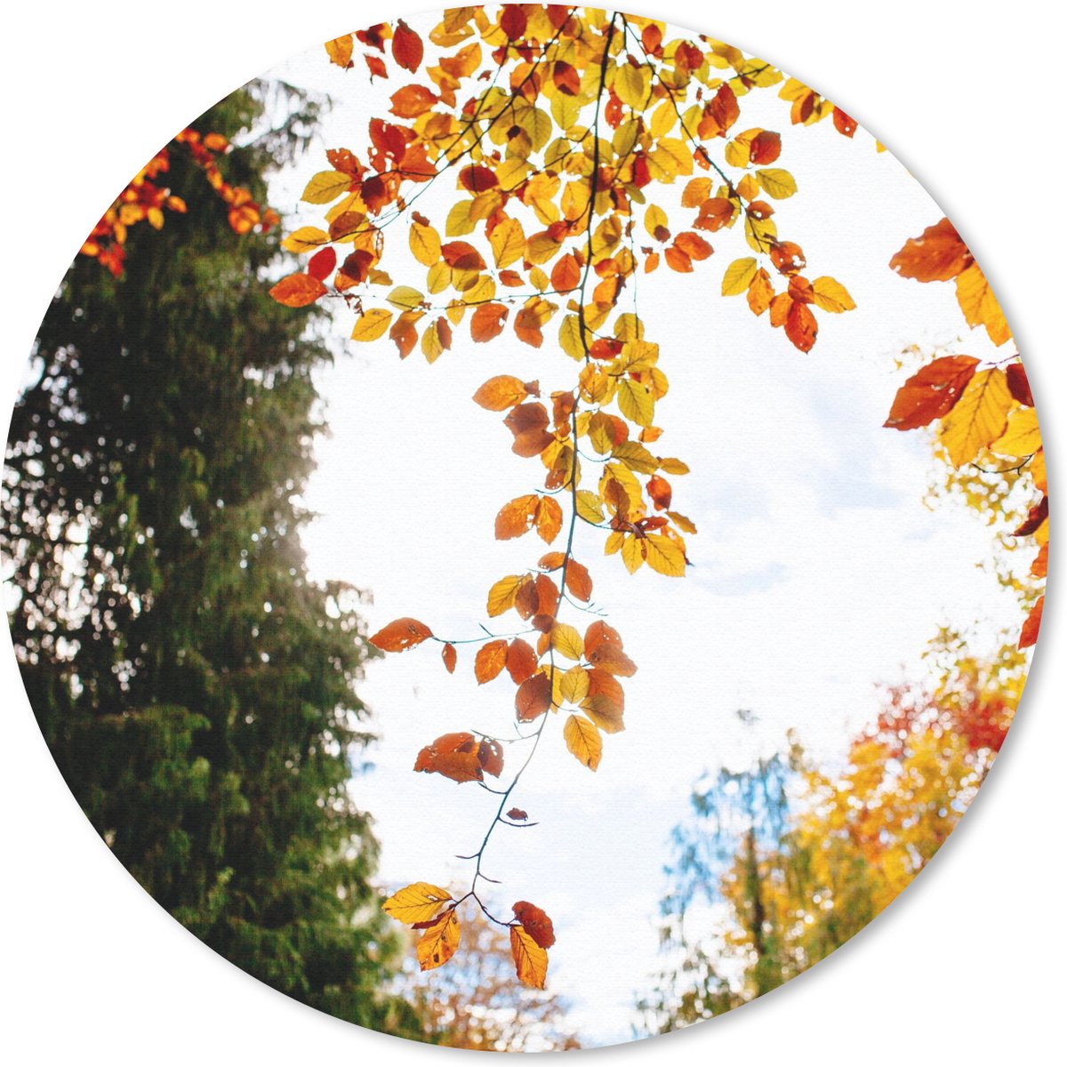 Muismat rond 40x40 cm - Mousepad Herfst - Bladeren - Natuur - Ronde muismatten
