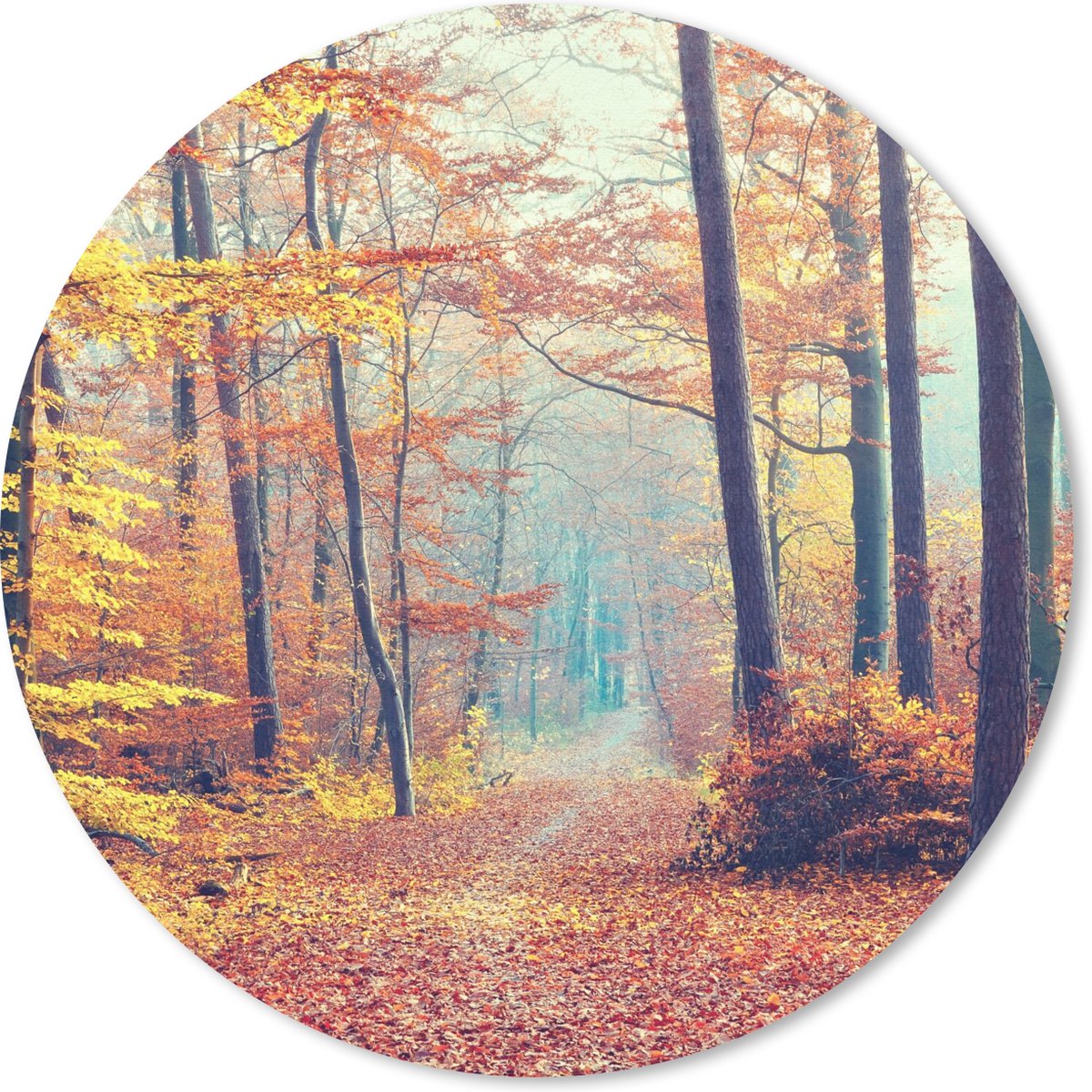 Muismat rond 40x40 cm - Mousepad Bos - Herfst - Bladeren - Ronde muismatten