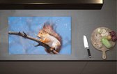 Inductieplaat Beschermer - Rode Eekhoorn Zittend op Smalle Tak in Sneeuwbui - 80x52 cm - 2 mm Dik - Inductie Beschermer van Vinyl