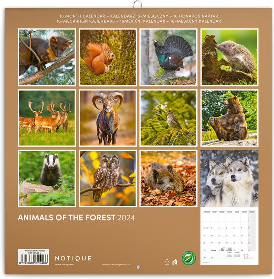 PERIODIQUE CALENDRIER ANIMAUX DU JARDIN 2024