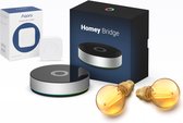 Homey Bridge smart-home-verlichting-kit