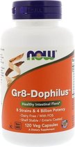 Gr8-Dophilus (120 Vegetarian Capsules) - Now Foods