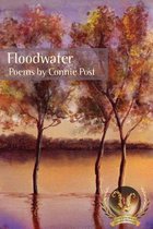 Floodwater