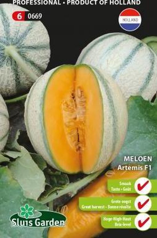 Sluis Garden - Meloen Artemis F1 (Charentais type)