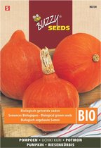 Buzzy  Seeds Bio Uien White Lisbon (Skal 14218 NL-BIO-01)