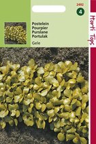 Hortitops Zaden - Postelein Breedbladige Gele