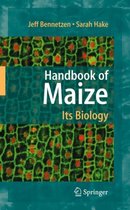 Handbook of Maize