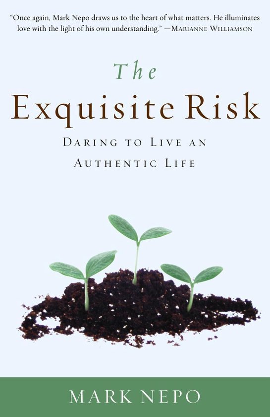 The Exquisite Risk - cover