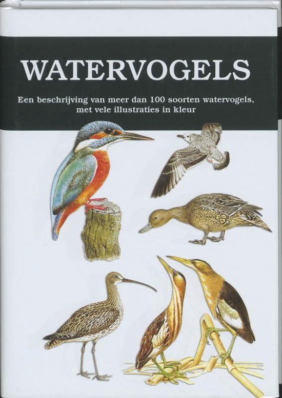 Watervogels - Karel Šta̓stný | Northernlights300.org