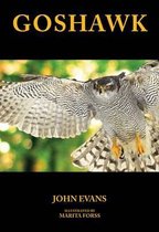 Goshawk