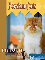 Eye to Eye with Cats - Persian Cats