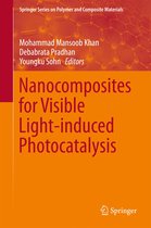 Springer Series on Polymer and Composite Materials - Nanocomposites for Visible Light-induced Photocatalysis