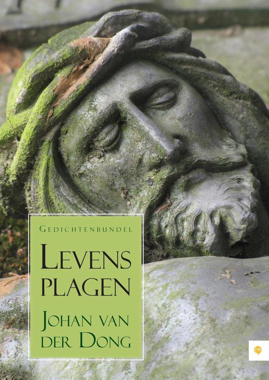 Cover van het boek 'Levensplagen'