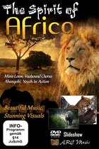 Various Artists - The Spirit Of Africa (DVD)