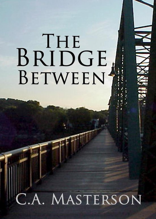Omslag van The Bridge Between