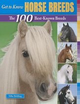 Get to Know Horse Breeds