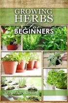 Growing Herbs for Beginners