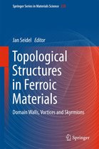Springer Series in Materials Science 228 - Topological Structures in Ferroic Materials