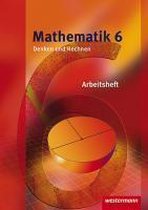 Mathematik Denken und Rechnen 6. Arbeitsheft. Hessen