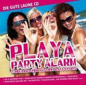 Playa Party Alarm 2015