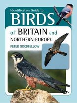 Identification Guide to Birds of Britain and Northern Europe