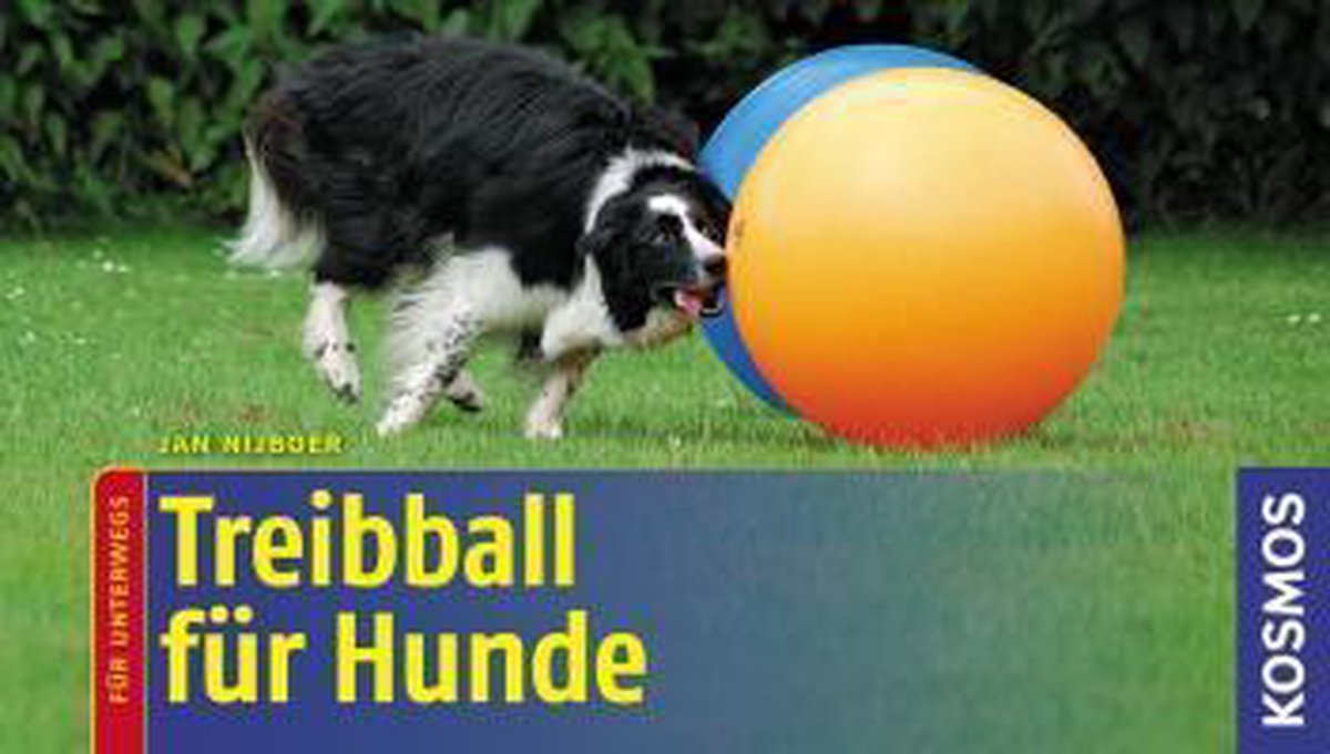 Treibball Für Hunde, Jan Nijboer 9783440122563 Boeken