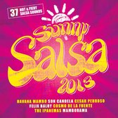 Sunny Salsa 2013