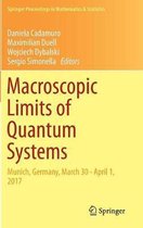 Macroscopic Limits of Quantum Systems