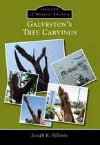 Images of Modern America - Galveston’s Tree Carvings