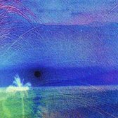 Flying Saucer Attack & Roy Montgomery - Goodbye (LP)