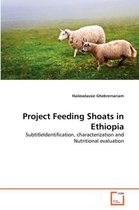Project Feeding Shoats in Ethiopia