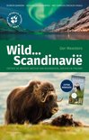 Wild Kijken in Scandinavie