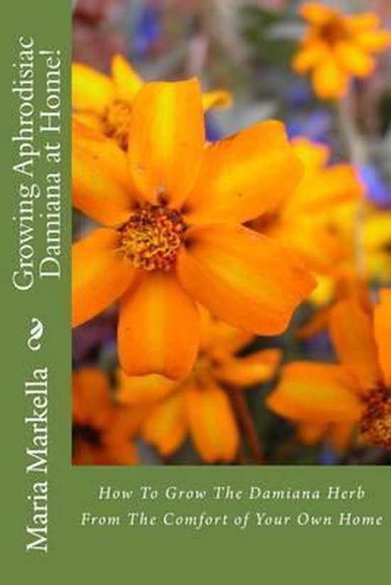 Titre: Growing Aphrodisiac Damiana at Home! Description: Gros plan sur des fleurs de Damiana orange. D'autres fleurs et feuilles floues sont visibles à l'arrière-plan.