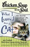 Chicken Soup for the Soul What I Learned from the Cat