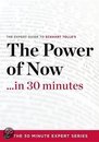 The Power of Now in 30 Minutes - the Expert Guide to Eckhart Tolle's Critically Acclaimed Book